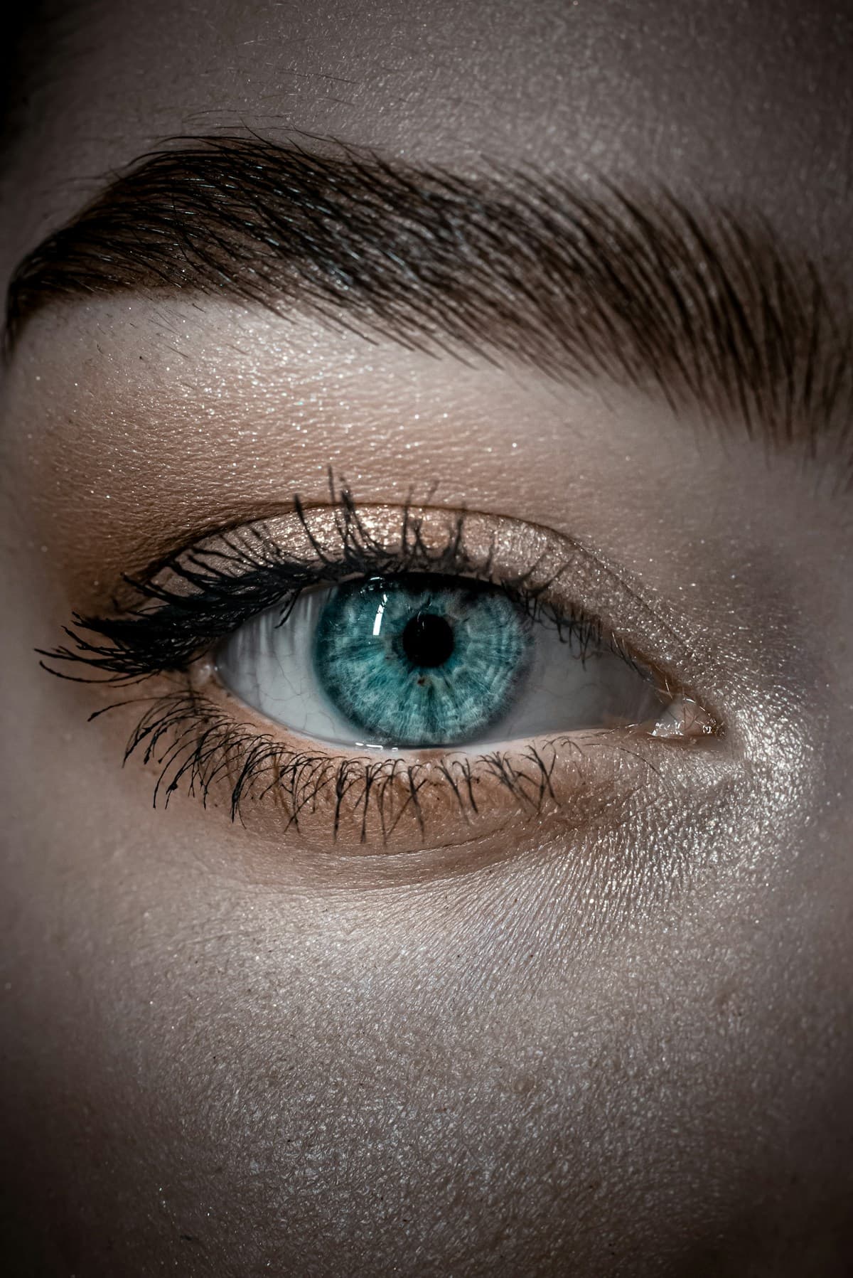 Eyeshadow